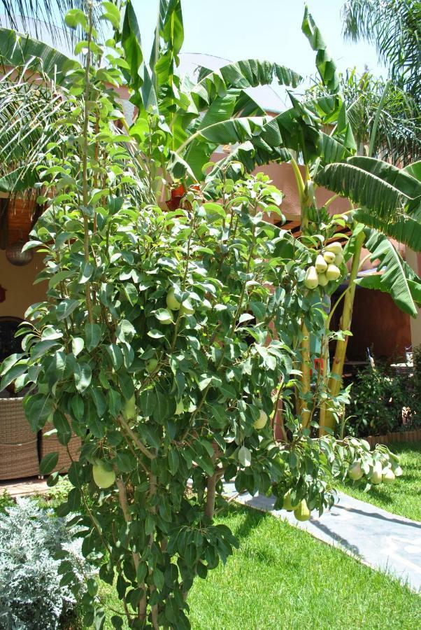 Auberge Kasbah Darla Tahanaout Exterior foto